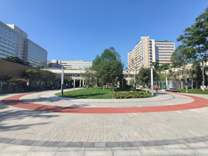 四川大學(xué)華西醫(yī)院景觀(guān)綠化改造工程